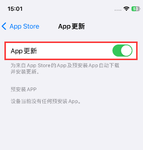 罗田苹果15维修中心如何让iPhone15APP自动更新